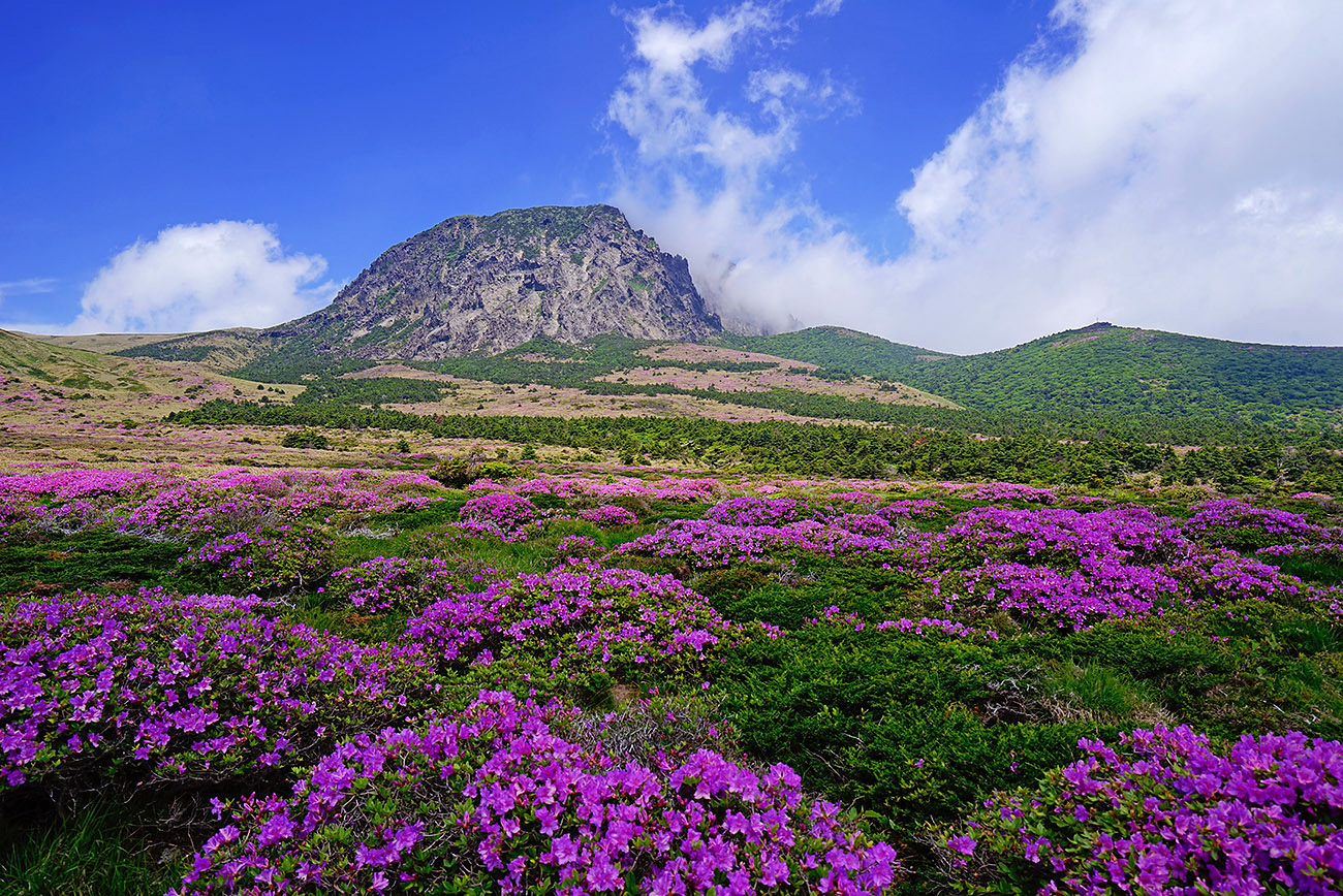 20150606-_DSC1914-s-6.6.jpg