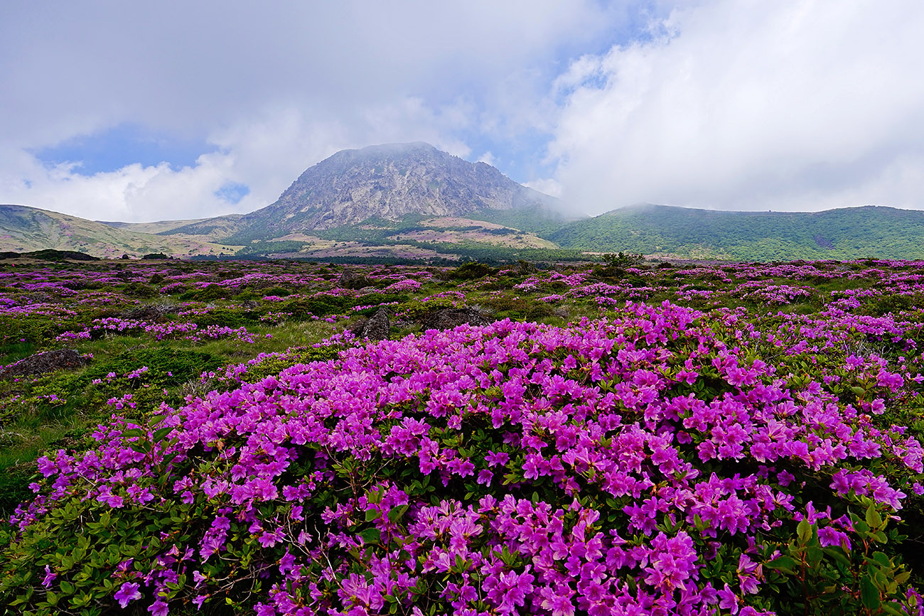 20150606-_DSC1920-s-6.6.jpg