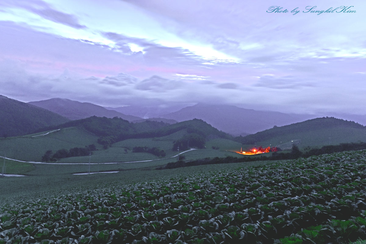 DSC_6731-1.jpg
