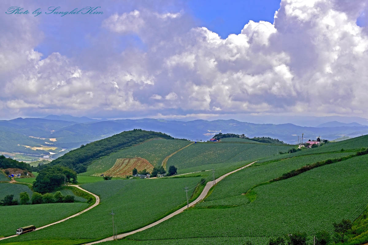 DSC_6890-1.jpg