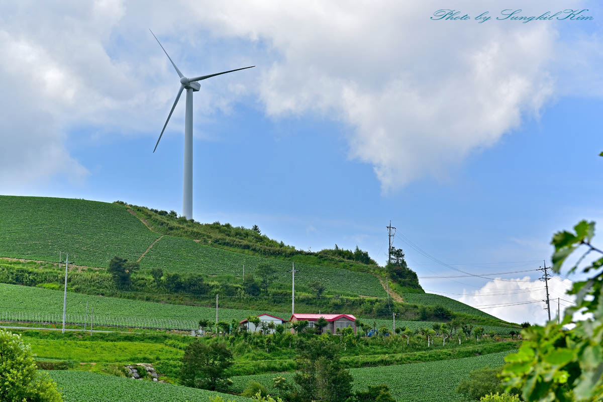 DSC_7093-1.jpg