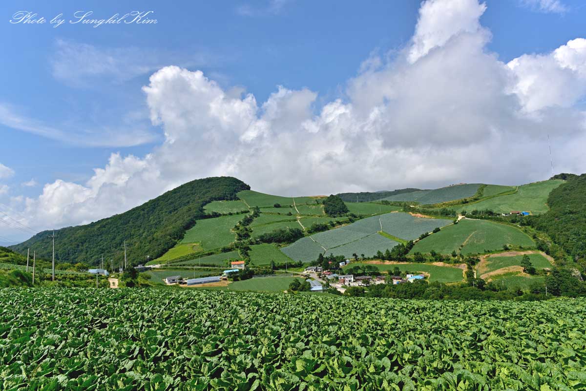 DSC_7126-1.jpg