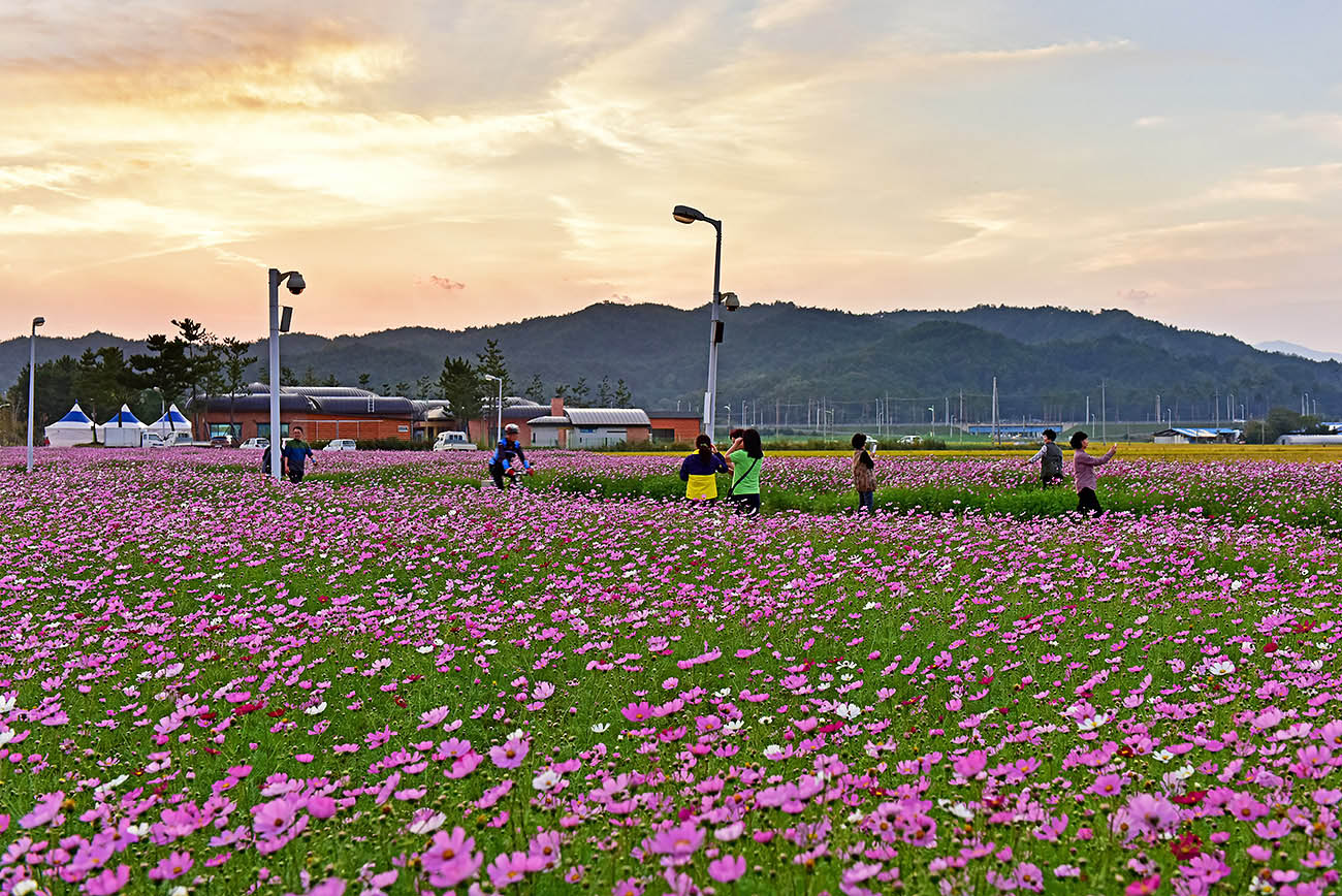 20151003-DSC_7942-p-ss.jpg