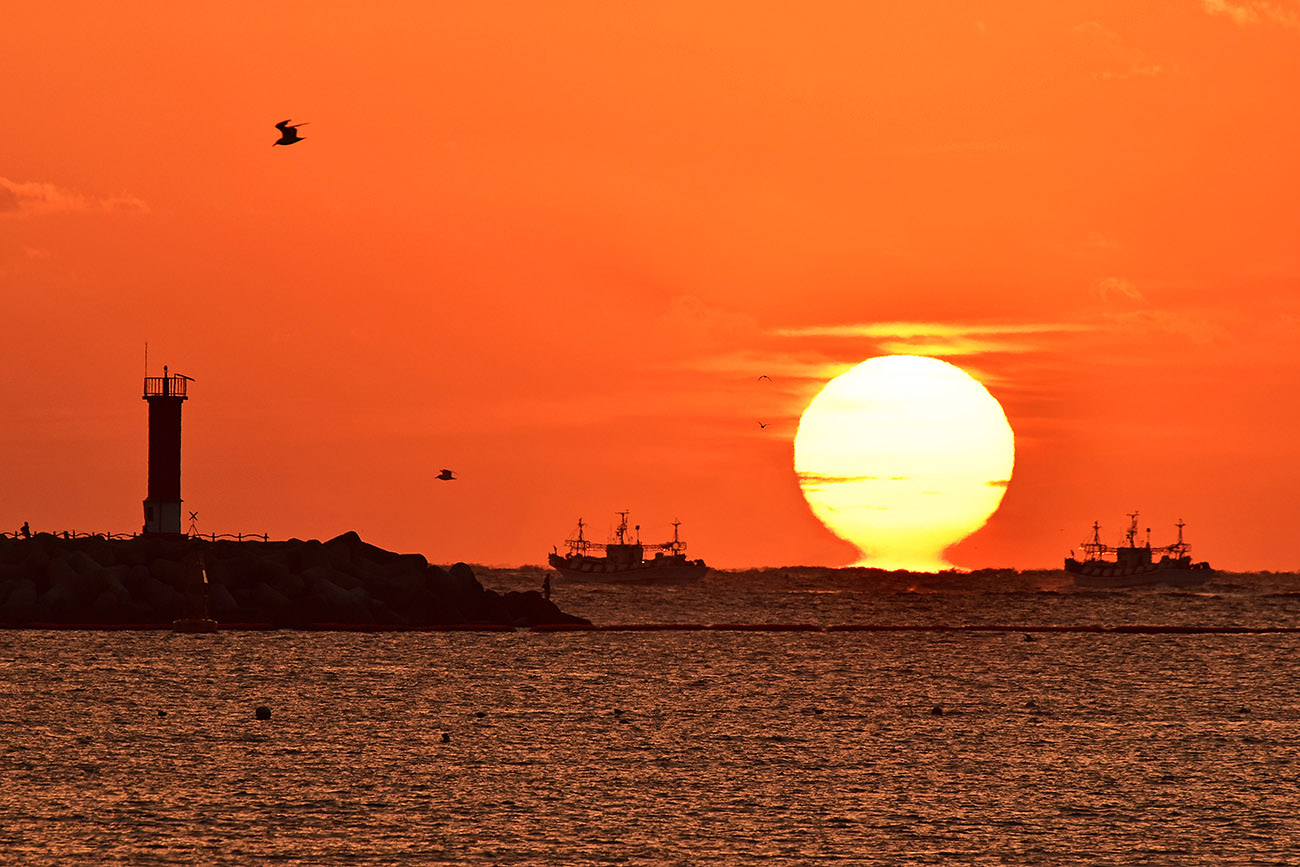 20151004-DSC_8325-ppp-ss.jpg