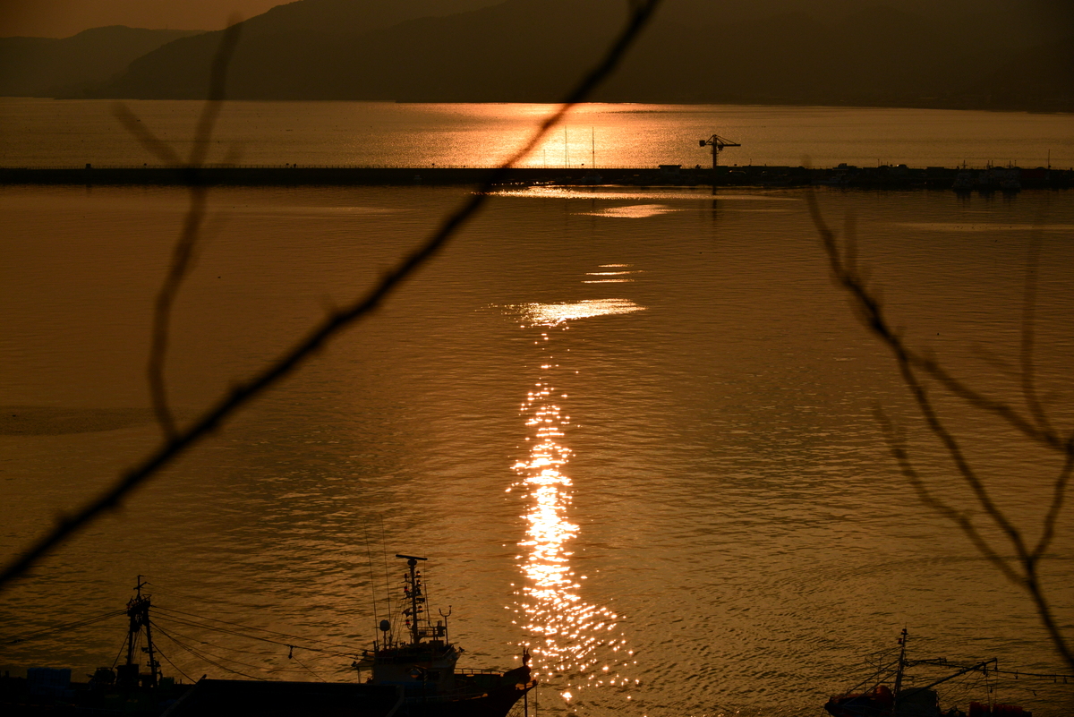 1-DSC_7834.JPG
