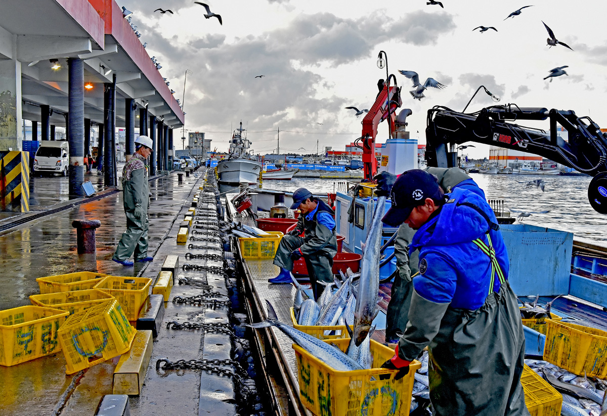 DSC_8141-1.jpg