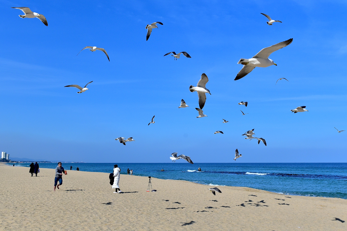 DSC_0410-1.jpg