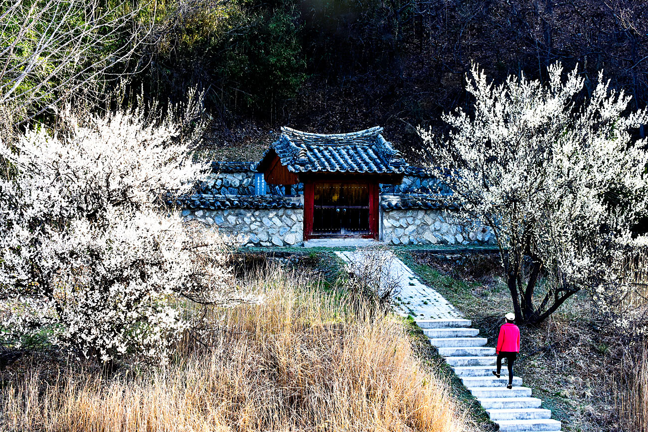 20180325-20180325-DSC_9125-2-p-s.jpg