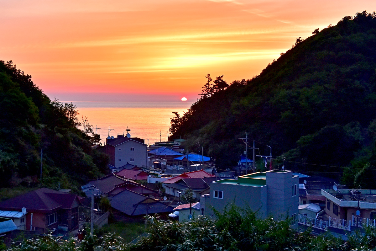 DSC_0350-1.jpg
