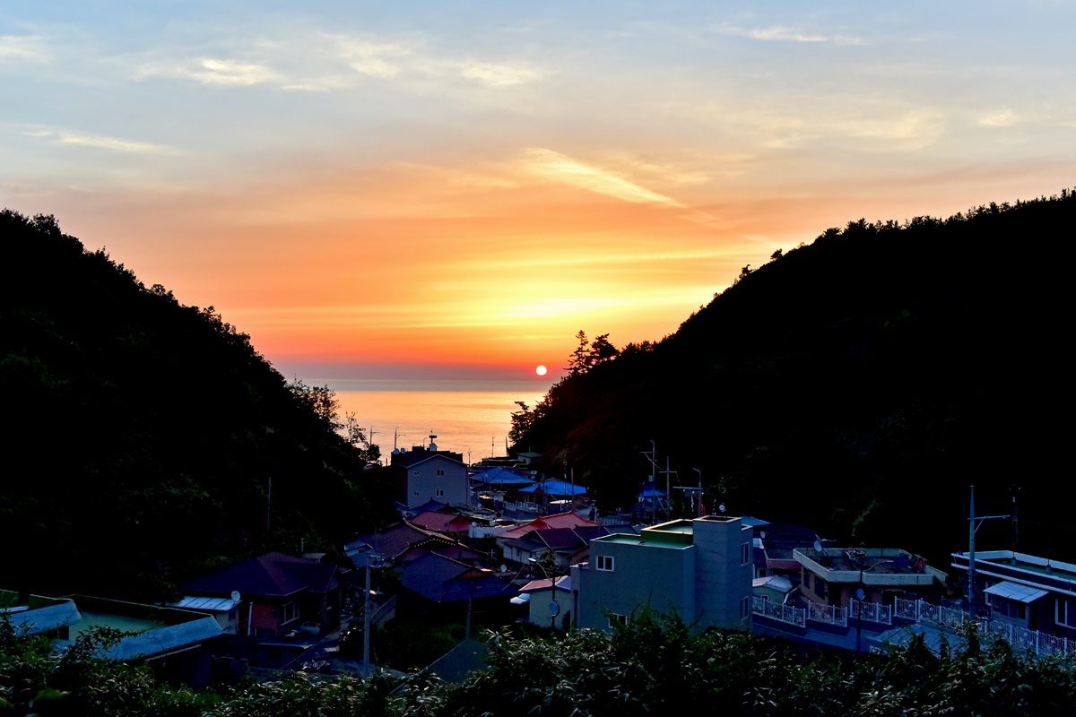 DSC_0356-1.jpg