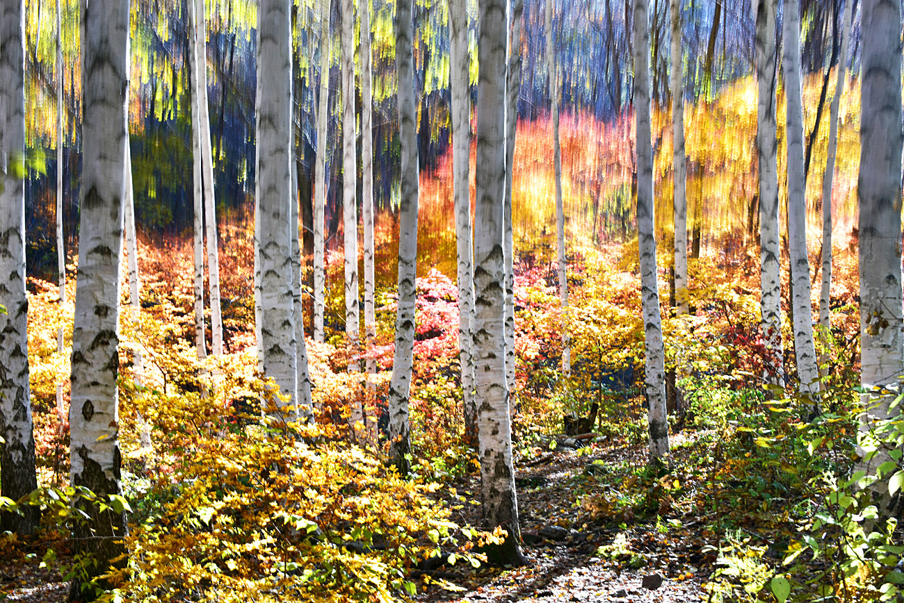 20181020-DSC_7959-p-s.jpg