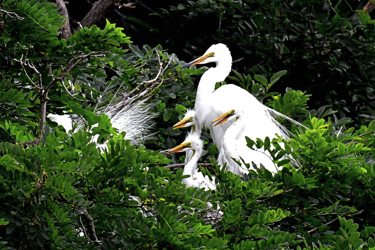 DSC_3111-2.jpg