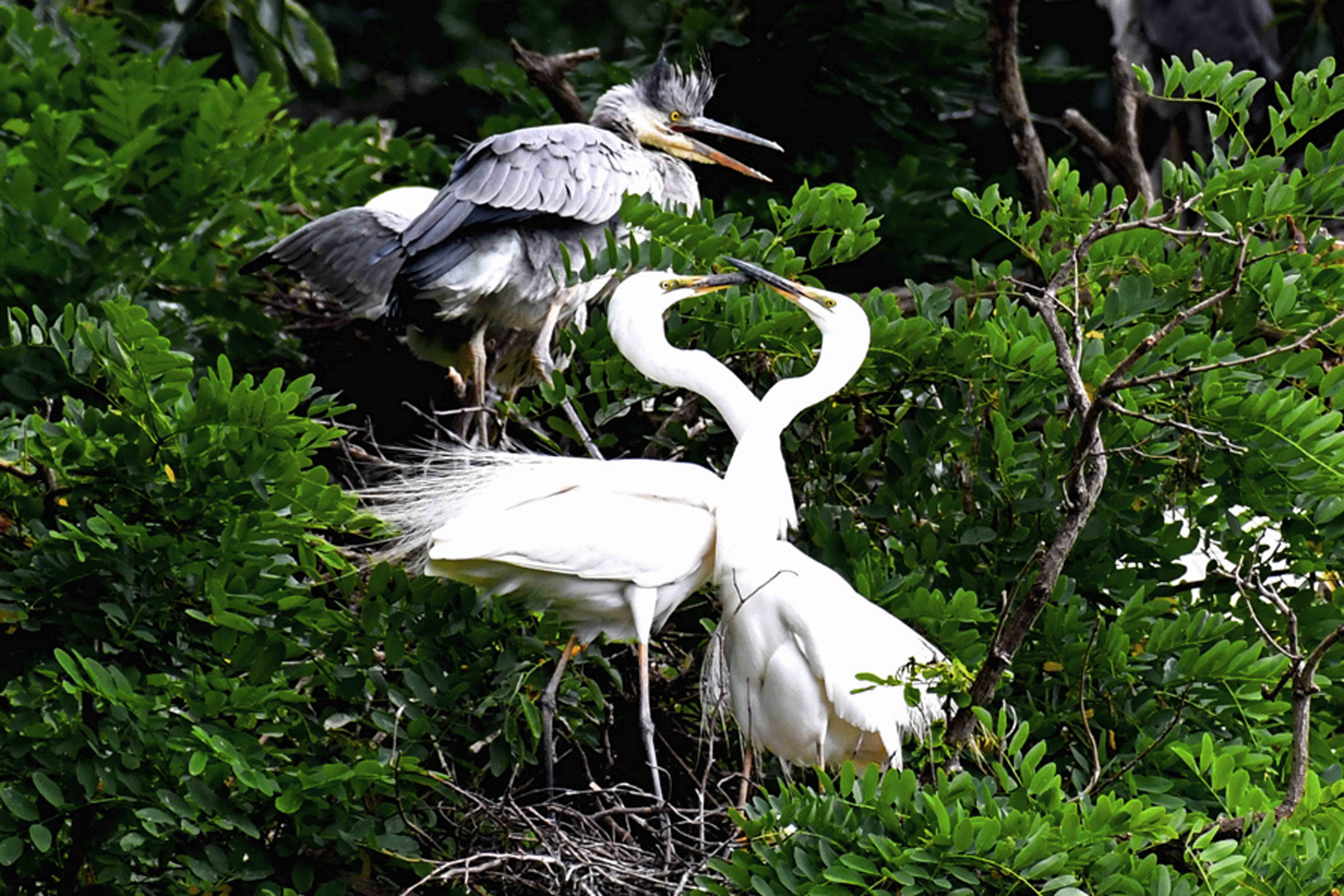 DSC_3142-1.jpg