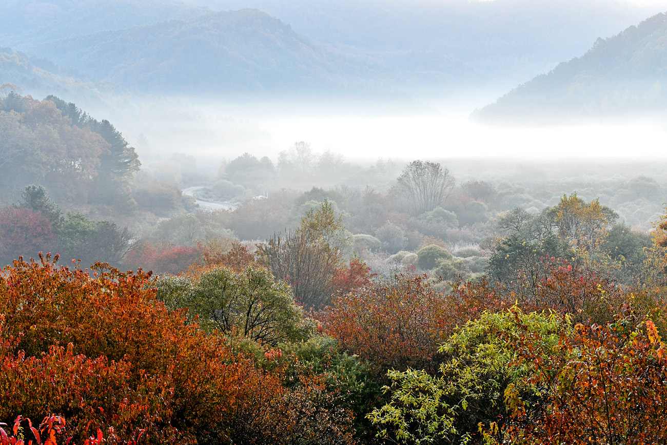 20201020-_DSC3343-s.jpg