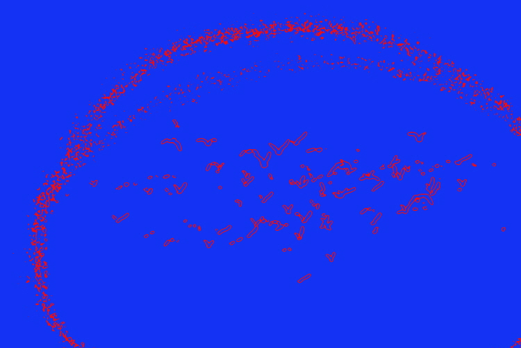 크기변환_kw-0985-8-1.jpg