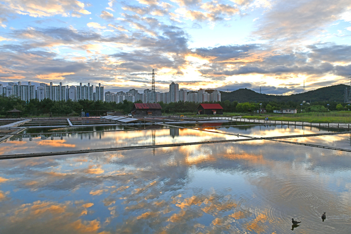 DSC_7711-1.jpg