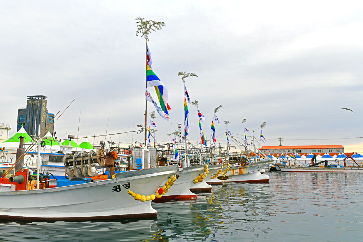DSC_5649-1.jpg