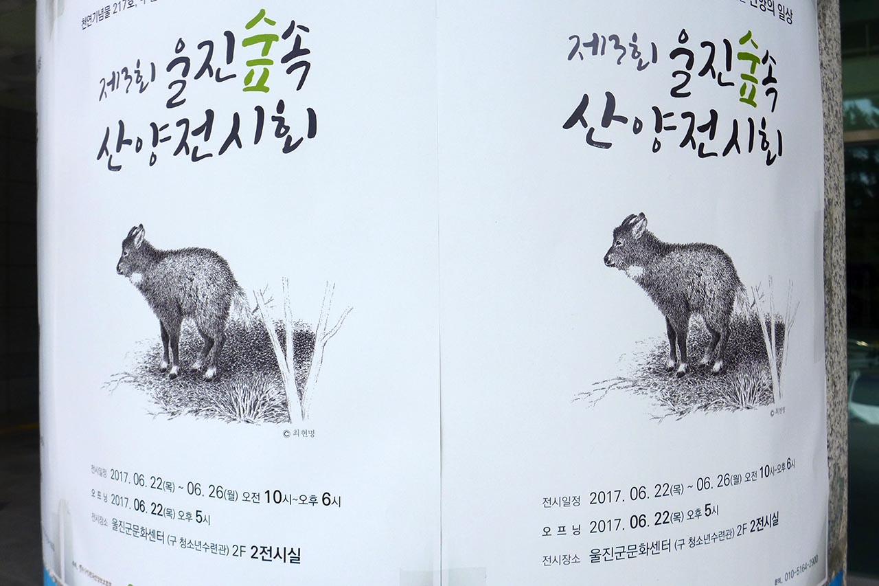 170624 109.JPG