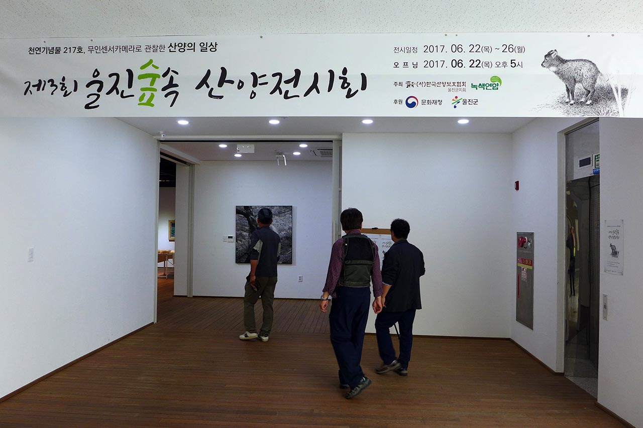 170624 111.JPG