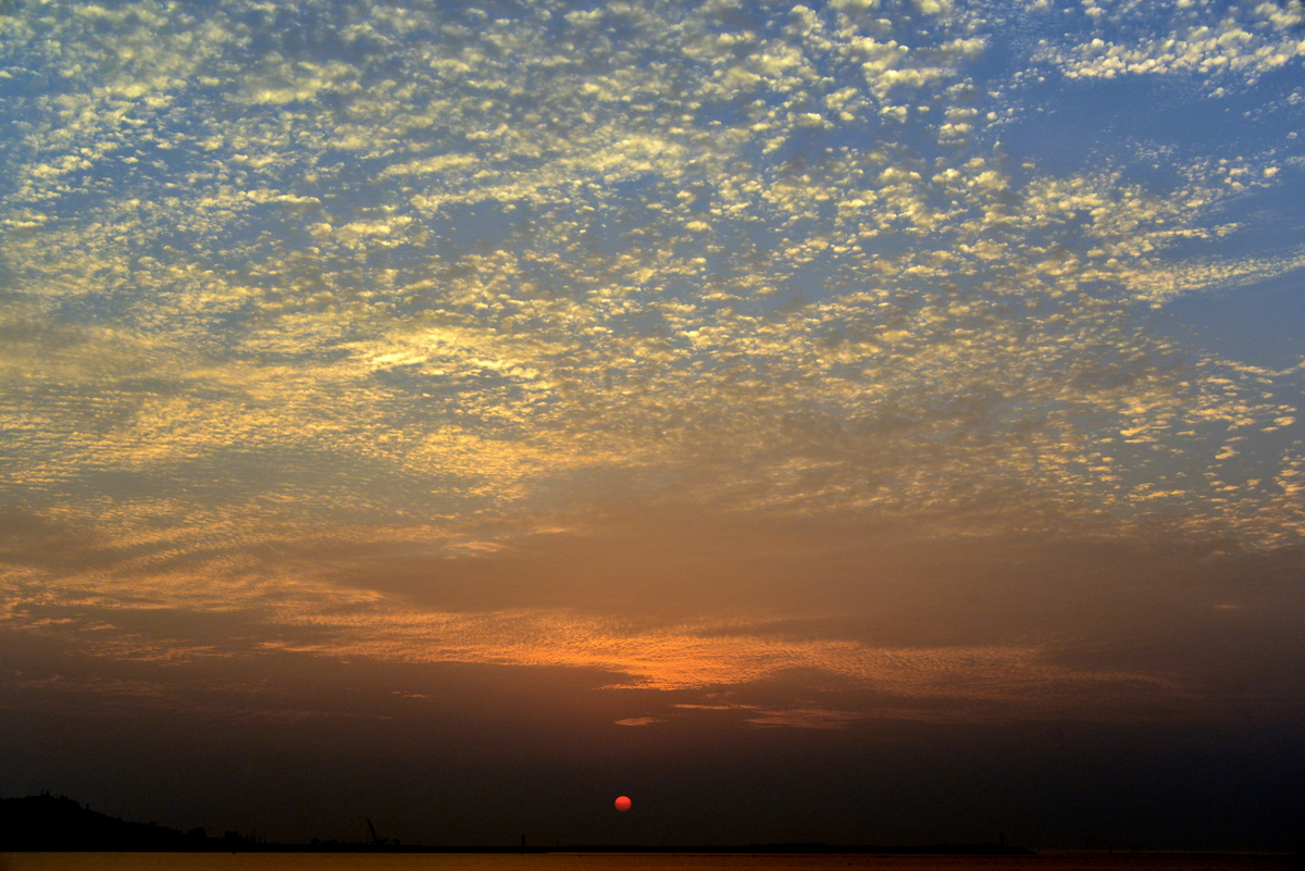 DSC_1908.JPG