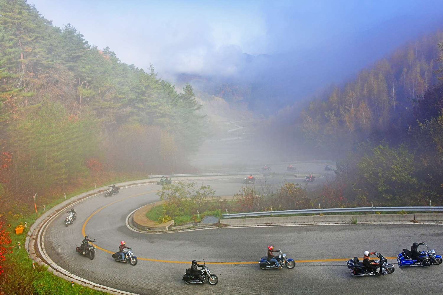 20241103-DSC_4353-ppp-pppp-s.jpg
