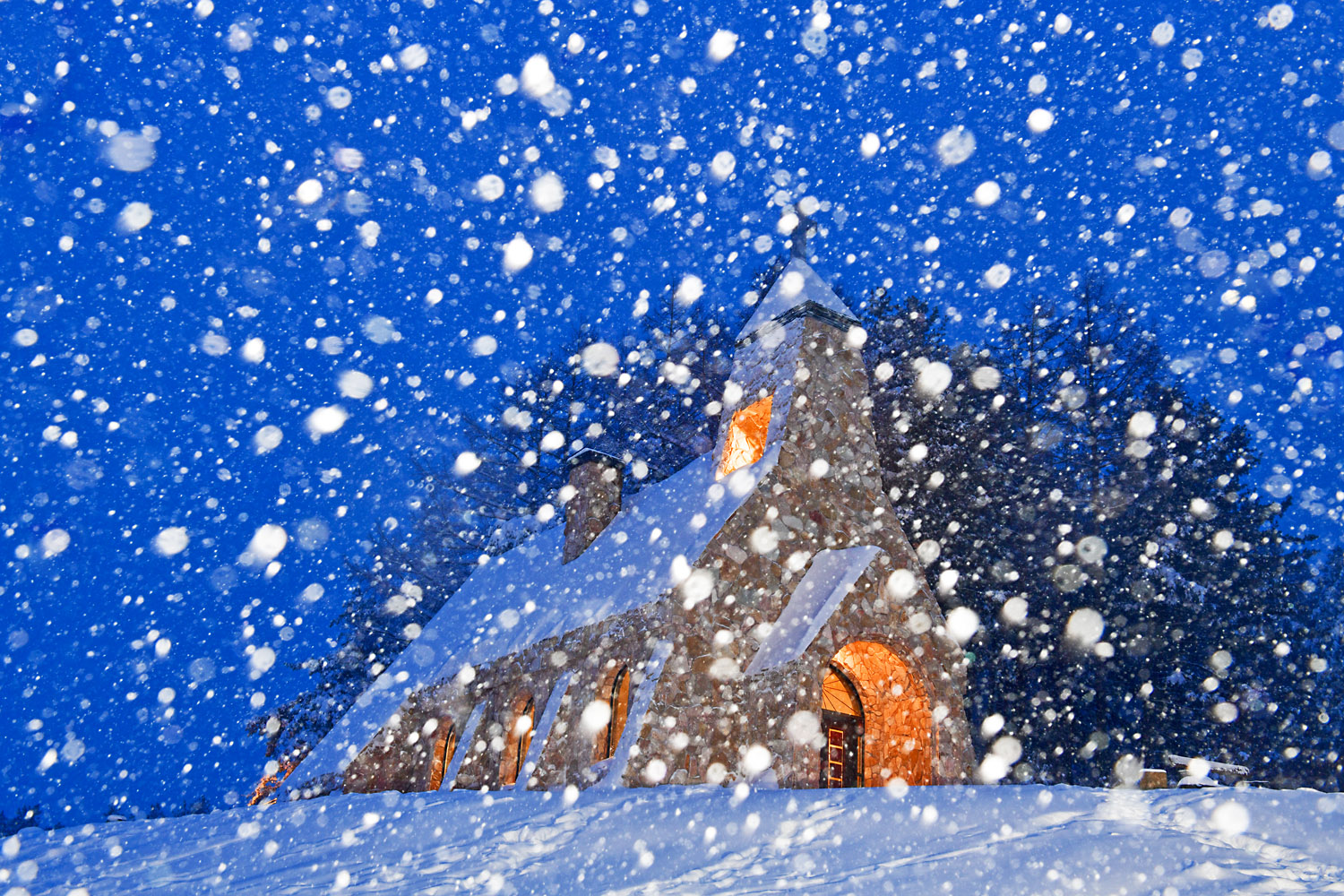 20250304-DSC_0373-p-s.jpg