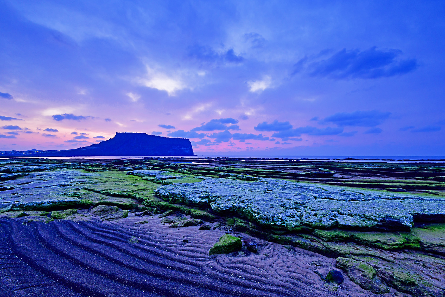 20250331-DSC_2522-p-s.jpg