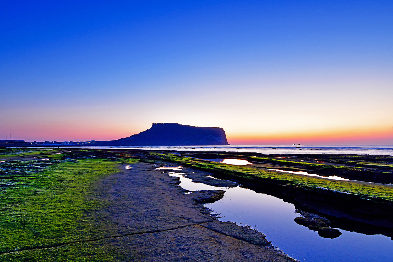 20250402-DSC_3914-p-s.jpg