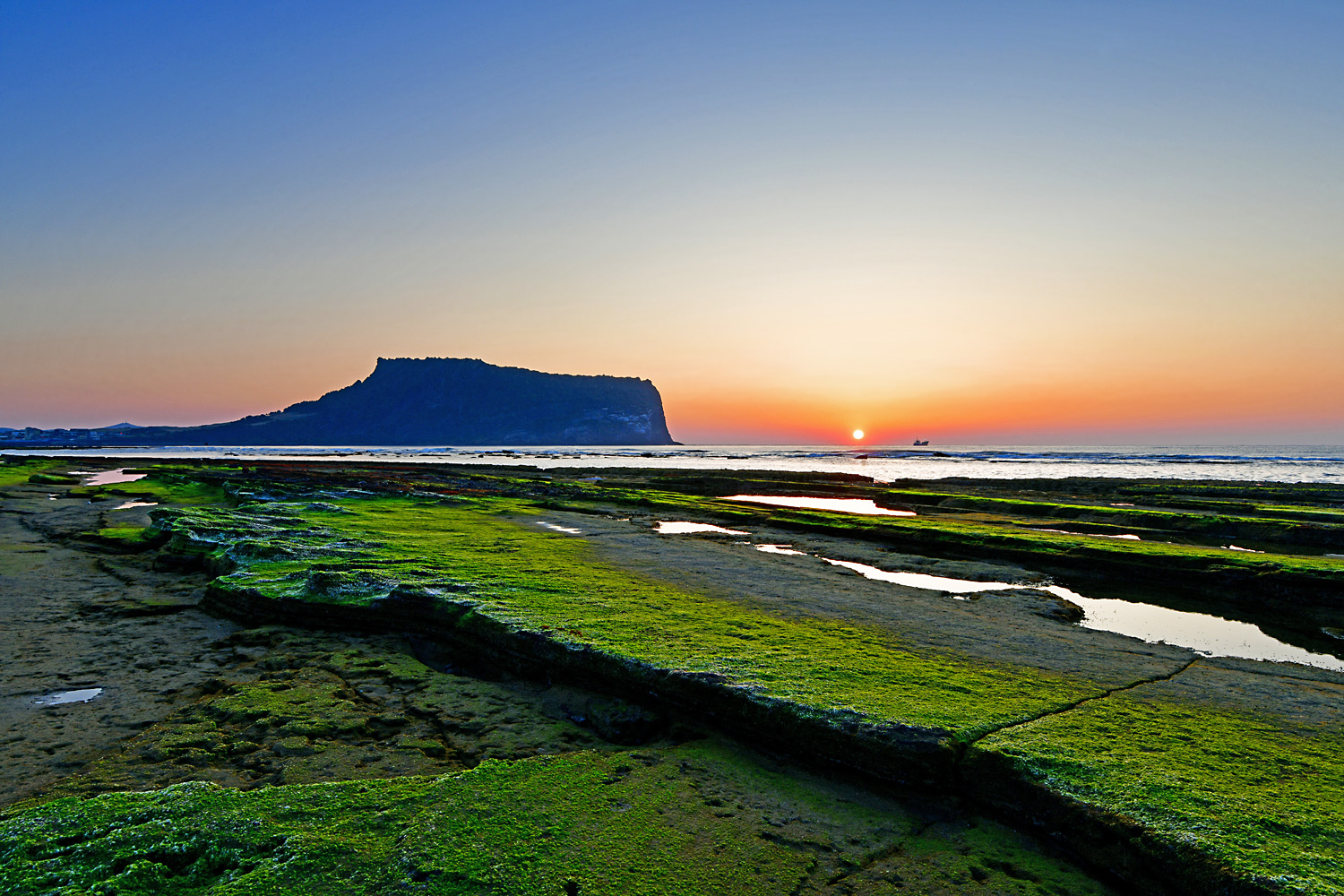 20250402-DSC_4044-p1-s.jpg