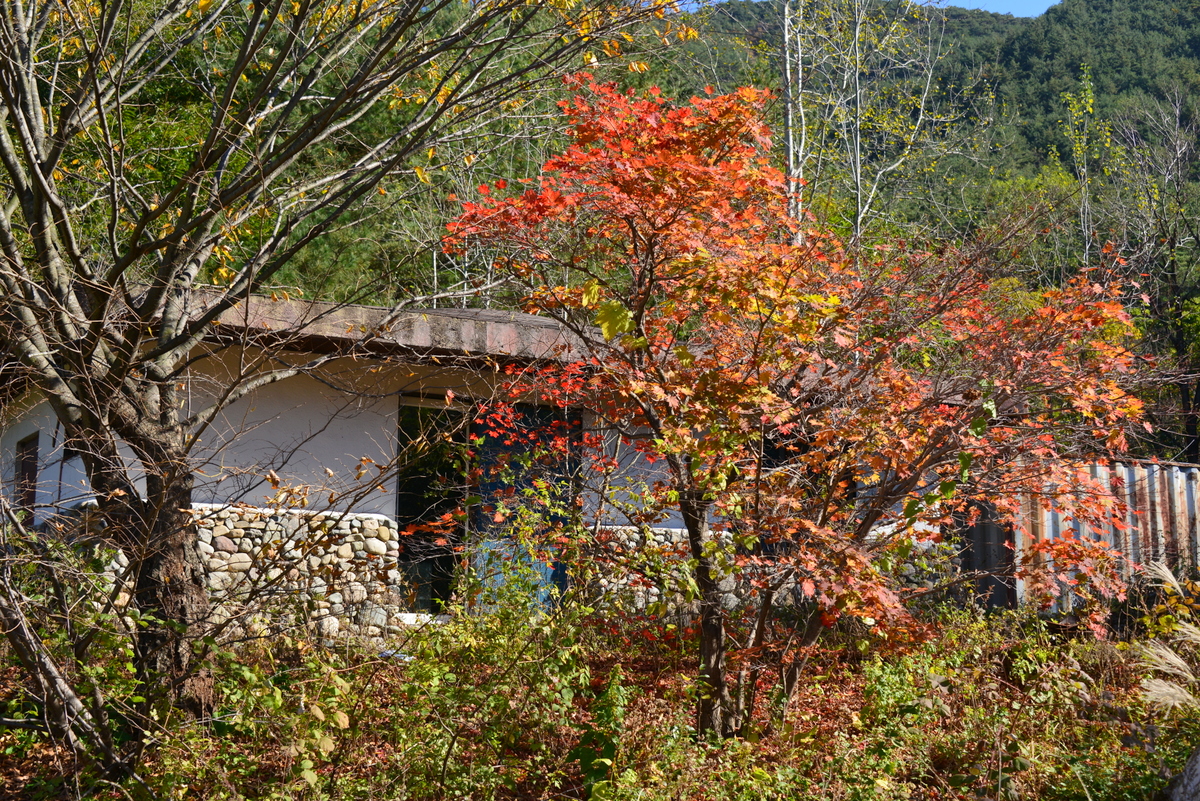 DSC_7141.JPG