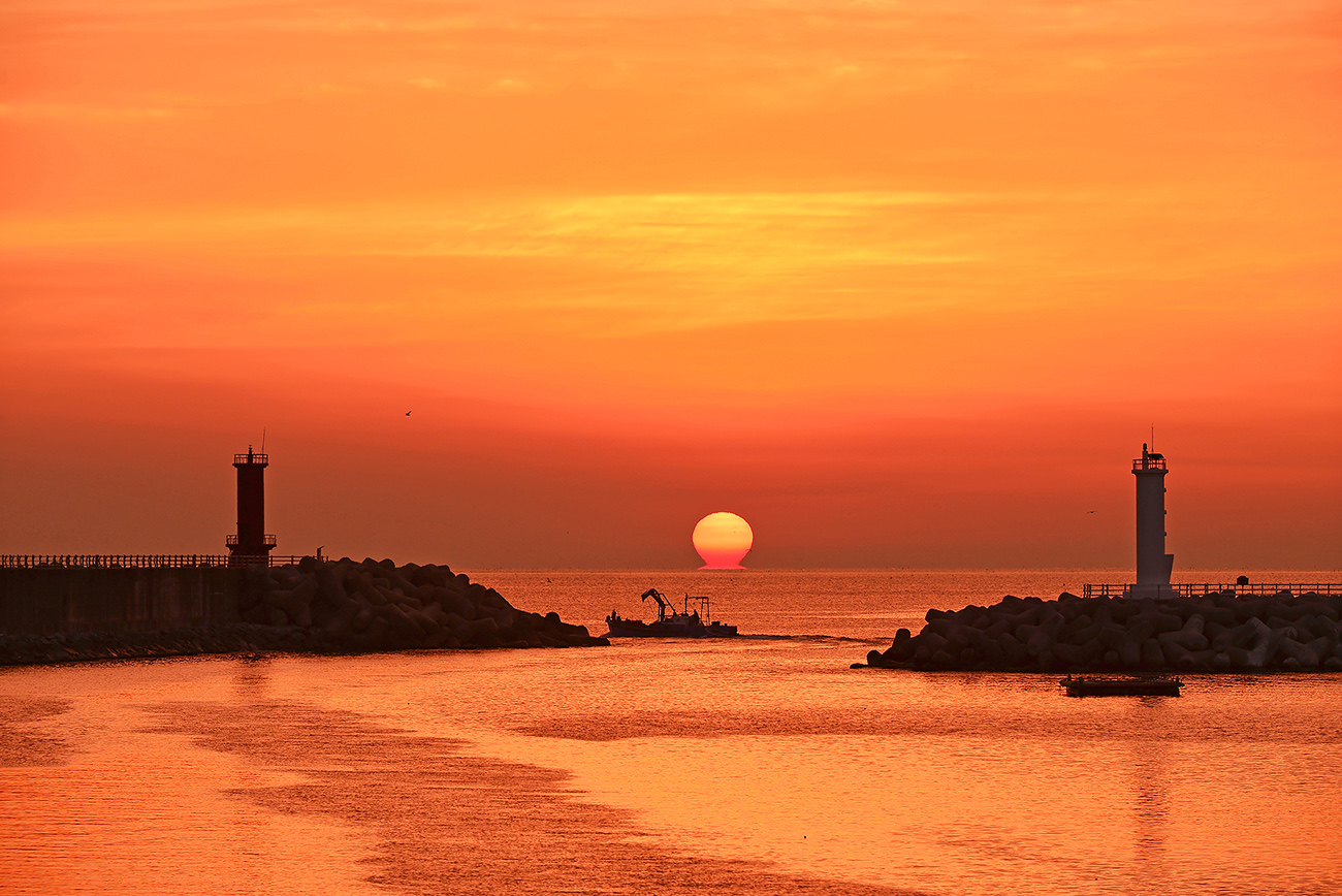 20141122-DSC_1781-p-s.jpg