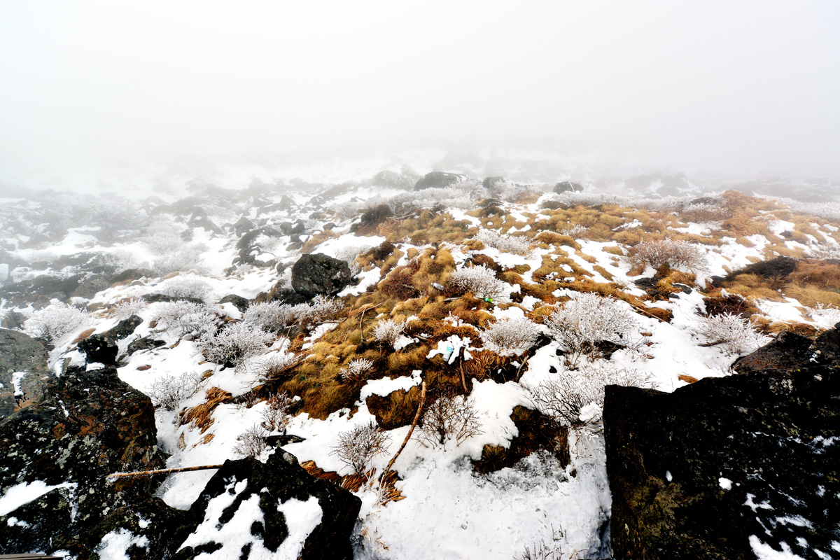 DSC_2271.JPG