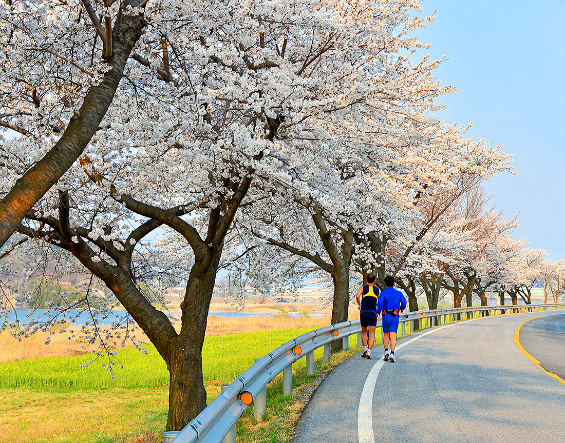 20140401-20140401-20140401-DSC_4178-p-s.jpg